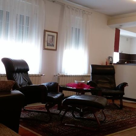 Apartment Krsmanovic Аранджеловац Екстер'єр фото